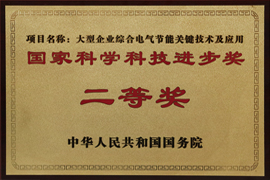 國家科學(xué)科技進(jìn)步獎二等獎